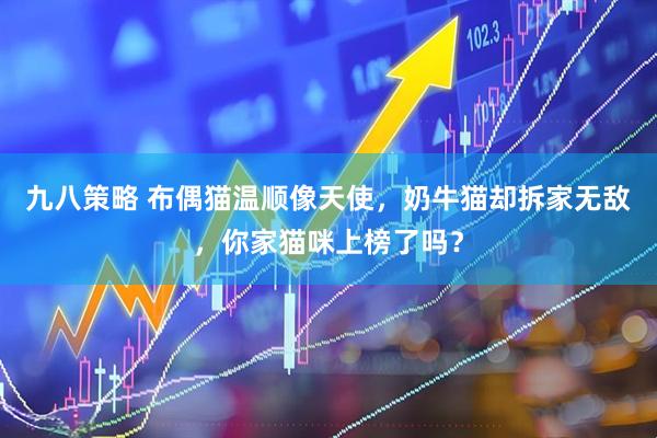 九八策略 布偶猫温顺像天使，奶牛猫却拆家无敌，你家猫咪上榜了吗？