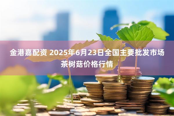 金港嘉配资 2025年6月23日全国主要批发市场茶树菇价格行情