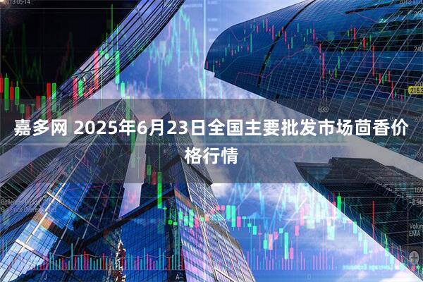 嘉多网 2025年6月23日全国主要批发市场茴香价格行情
