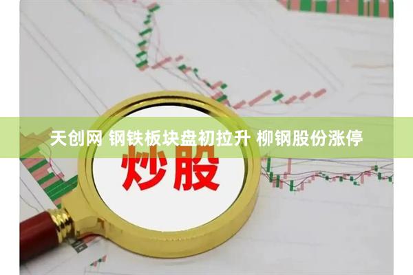 天创网 钢铁板块盘初拉升 柳钢股份涨停